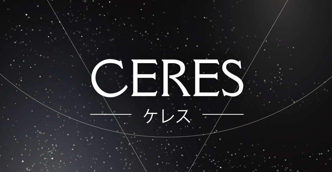 NOBUNAGALabs VISION　CERES（ケレス） 2pinリケーブル