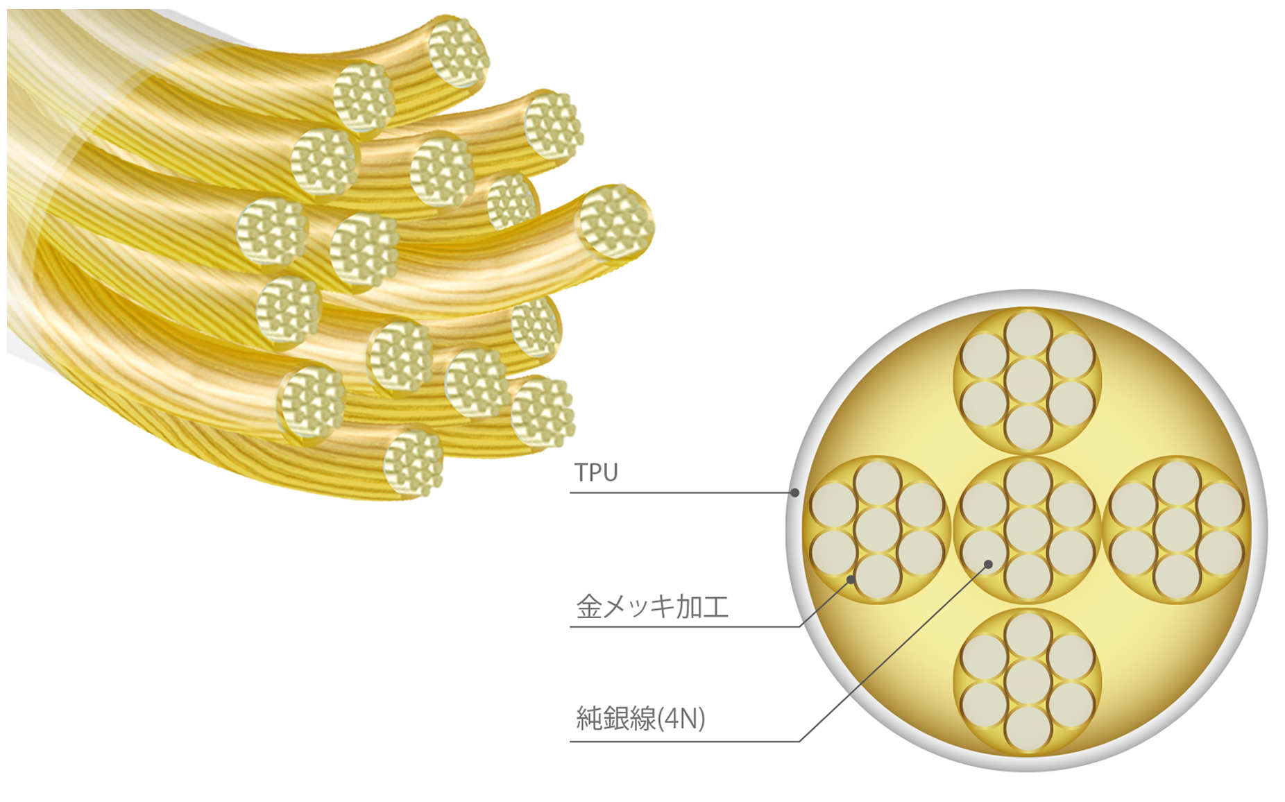 リケーブルnobunagalabs 胡蝶　極（こちょう きわみ）